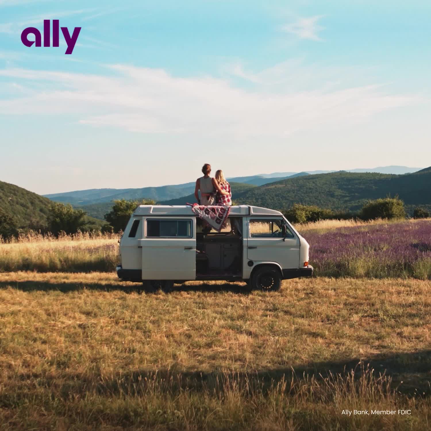 Ally Financial / DLM Travel Max Width